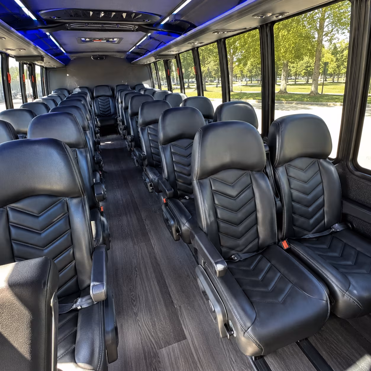 St Petersburg School Event Transportation party bus exterior