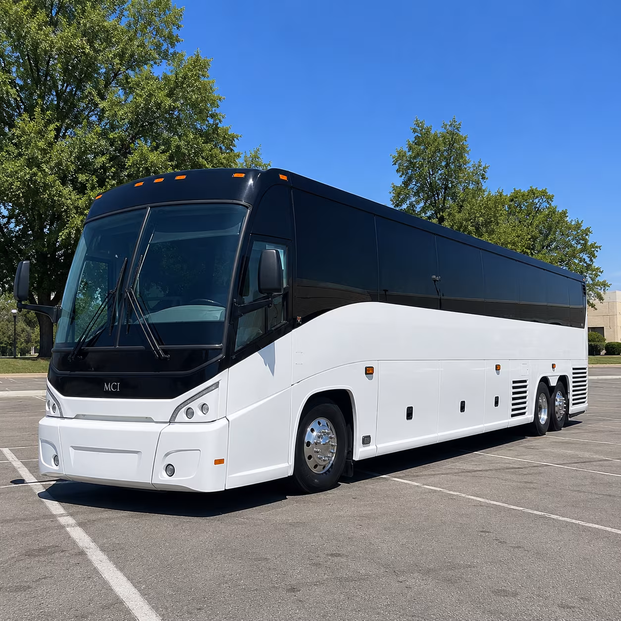 St Petersburg School Event Transportation party bus exterior