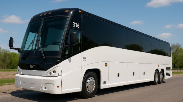 fort myers bachelor and bachelorette party bus rentals