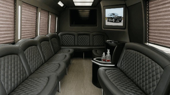 st petersburg 30 passenger party bus rental