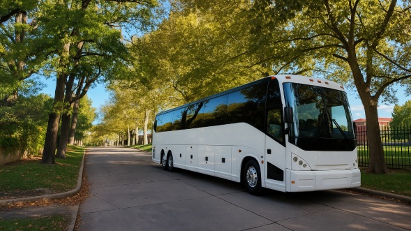 tampa bachelor and bachelorette party bus rentals